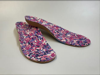 Foot Orthoses (FO) example