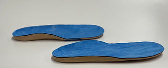 Foot Orthoses (FO) example